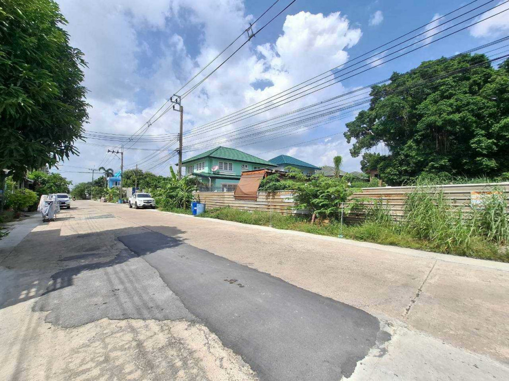 Land for sale, Chuenkamonniwet Village 7, Phraya Suren, 75 sq m, near Phraya Suren Road, only 250 meters. – รูปที่ 3