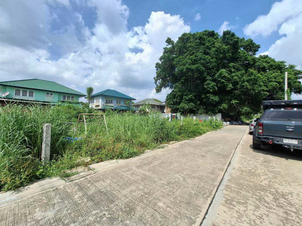 Land for sale, Chuenkamonniwet Village 7, Phraya Suren, 75 sq m, near Phraya Suren Road, only 250 meters. – รูปที่ 4