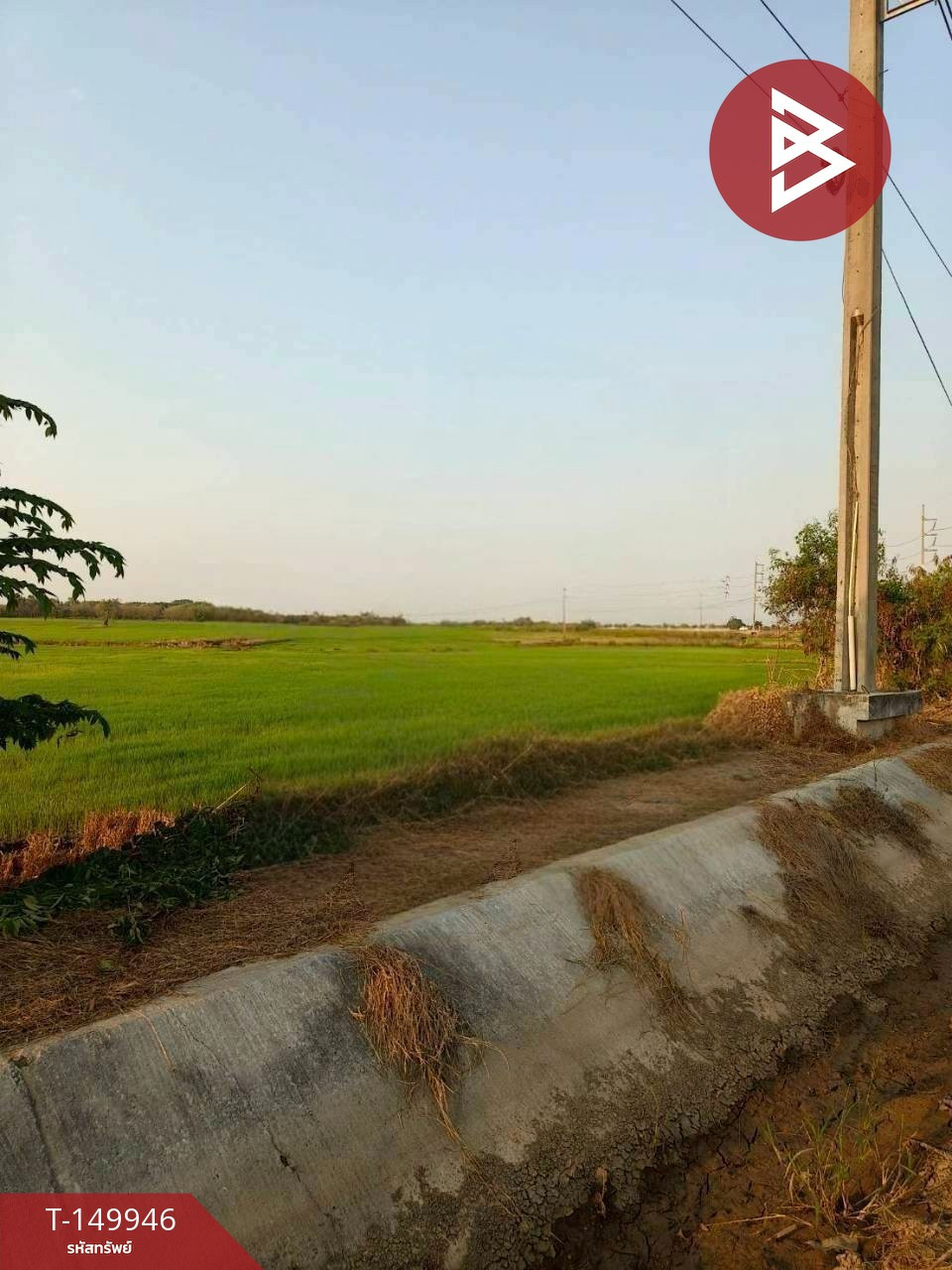 ขายที่ดิน เนื้อที่ 12 ไร่ 84 ตร.วา ท่าเรือ พระนครศรีอยุธยา – รูปที่ 3