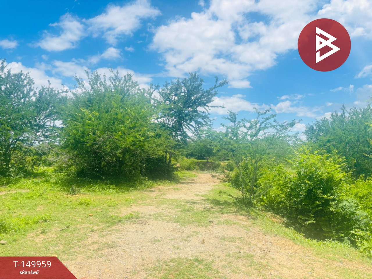 Land for sale, area 10 rai 3 ngan 74 square wah, Pranburi, Prachuap Khiri Khan. Next to the irrigation canal – รูปที่ 3