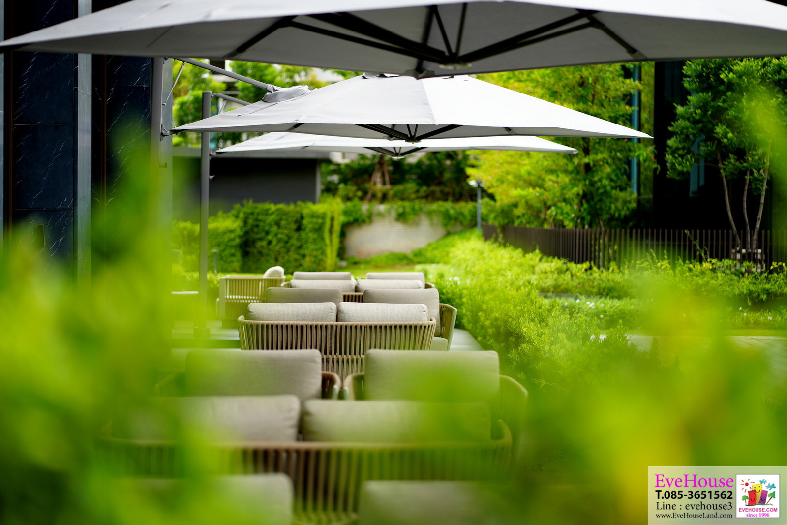 🔥Super Luxurious duplex condo amidst a 30 rai forest garden: Mulberry Grove The Forestias Condominiums Bangna, 144.99 sq.m. 🔥Super Luxurious duplex condo amidst a 30 rai forest garden: Mulberry Grove The Forestias Condominiums Bangna, 144.99 sq.m.