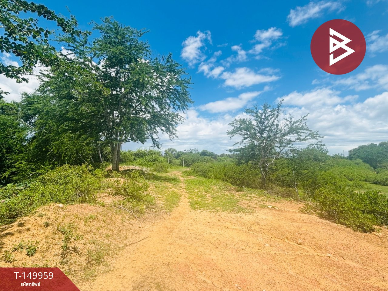 Land for sale, area 10 rai 3 ngan 74 square wah, Pranburi, Prachuap Khiri Khan. Next to the irrigation canal – รูปที่ 2
