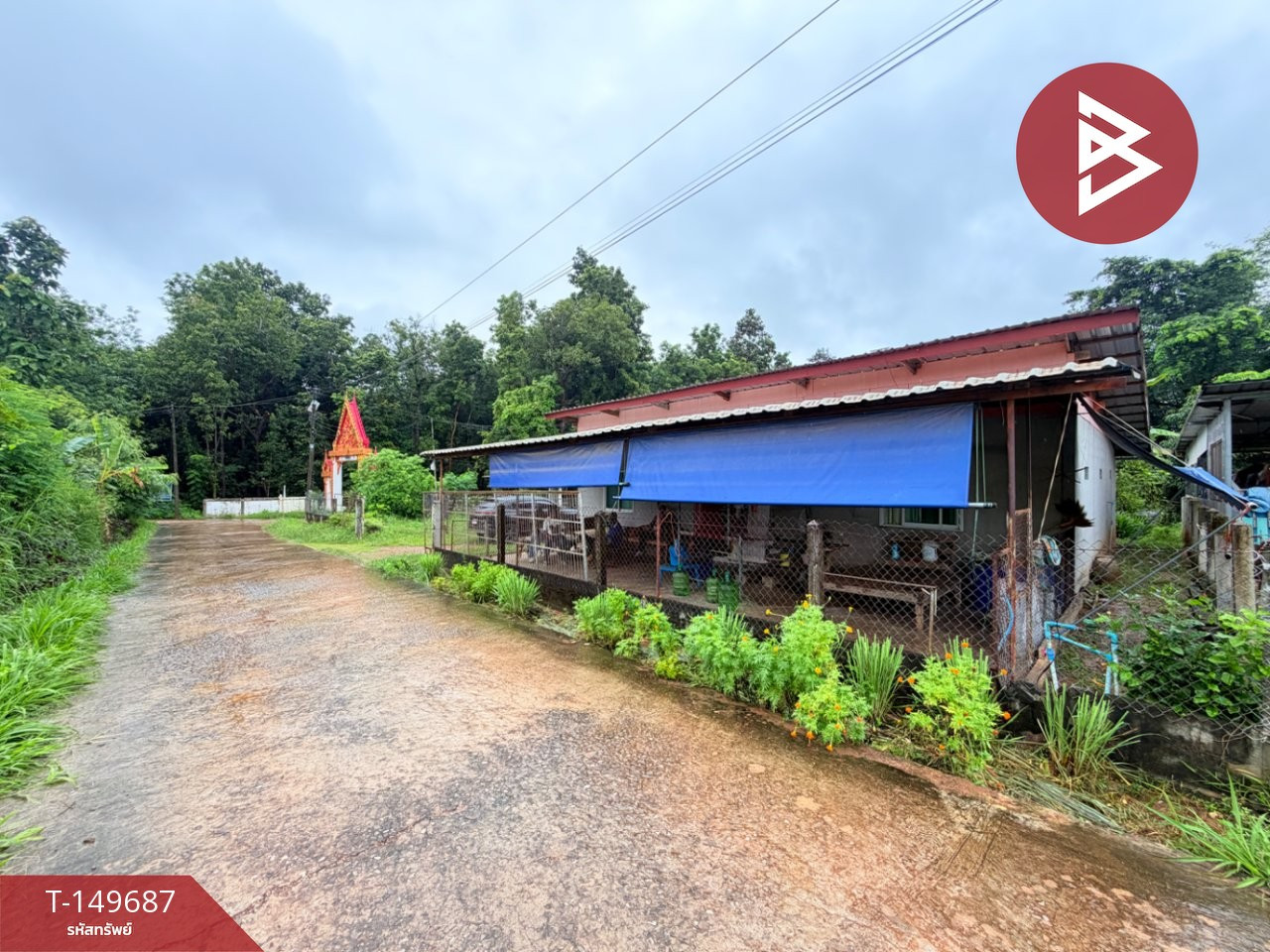 ขายบ้านเดี่ยวพร้อมที่ดิน เนื้อที่ 3 งาน 72 ตร.วา บ้านคำอุดม สามชัย กาฬสินธุ์ – รูปที่ 4