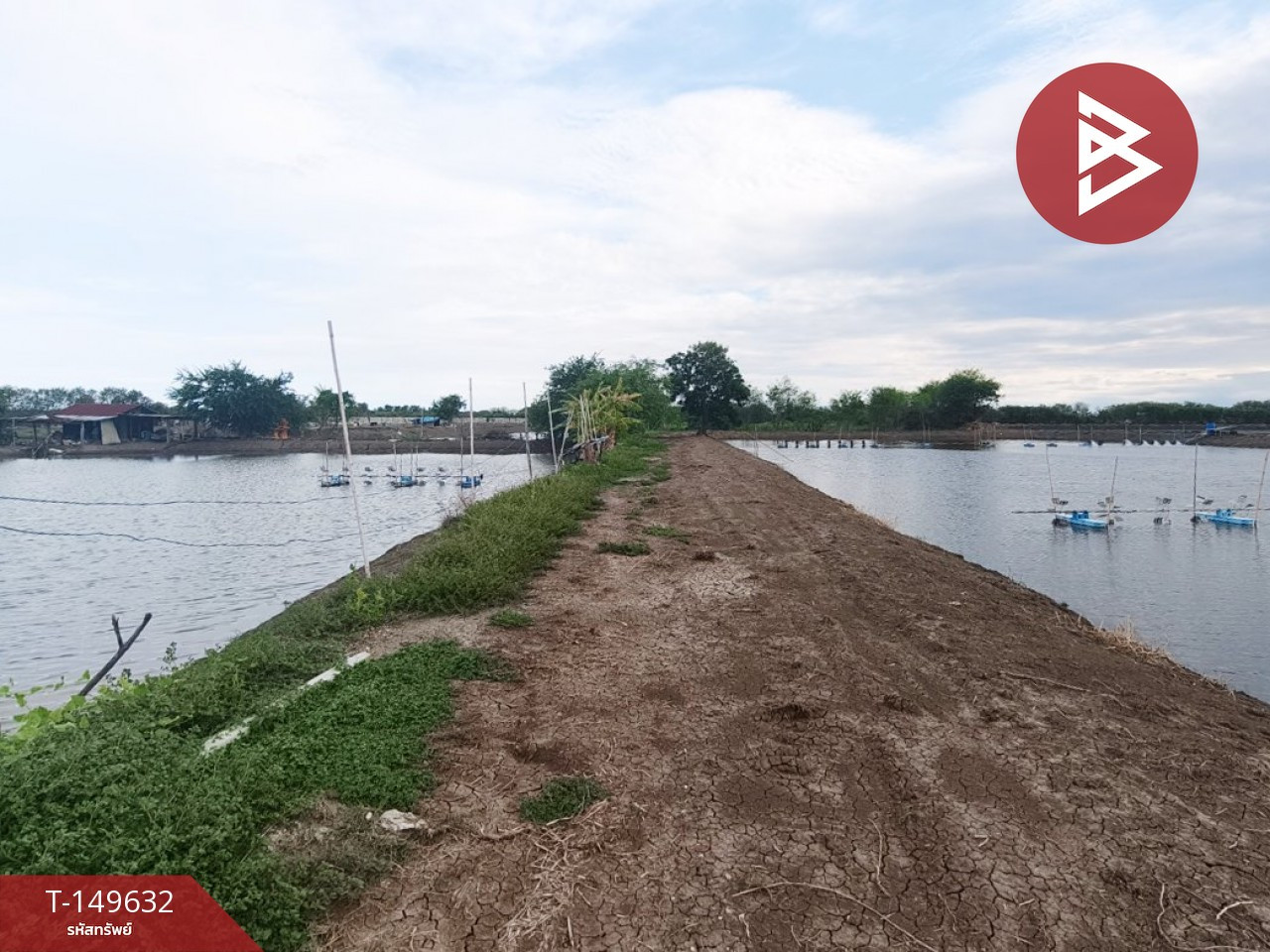Land for sale, area 8 rai 2 ngan 88 square wah, Bang Pakong, Chachoengsao. – รูปที่ 3