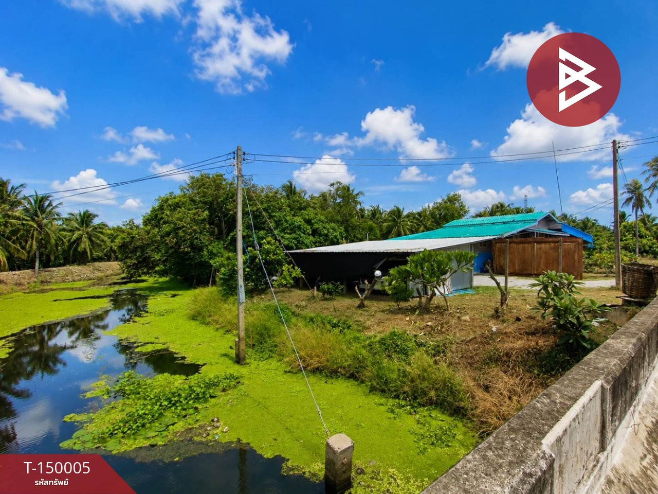 ขายบ้านเดี่ยวพร้อมที่ดิน ต.แพงพวย อ.ดำเนินสะดวก จ.ราชบุรี – รูปที่ 2