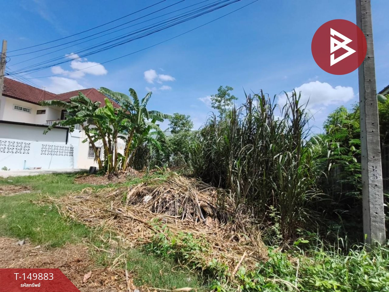 ขายที่ดิน เนื้อที่ 102.5 ตร.วา ปากเกร็ด นนทบุรี – รูปที่ 2