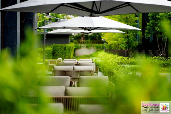 🔥Duplex หรูท่ามกลางสวนป่าขนาด 30 ไร่ Mulberry Grove The Forestias Condominiums บางนา 144.99 ตร.ม 