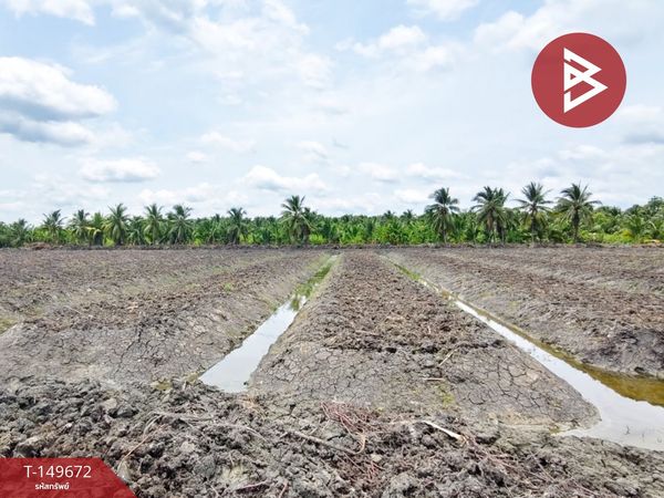 Agricultural land for sale, area 4 rai 1 ngan 61 square wah, Krathum Baen, Samut Sakhon
