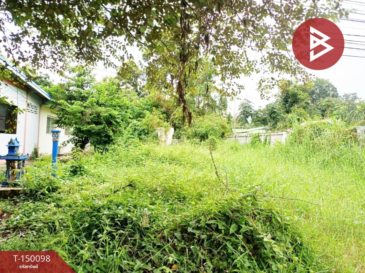 Land for sale, area 1 rai 35 sq m, Pa Makhap, Phichit – รูปที่ 3