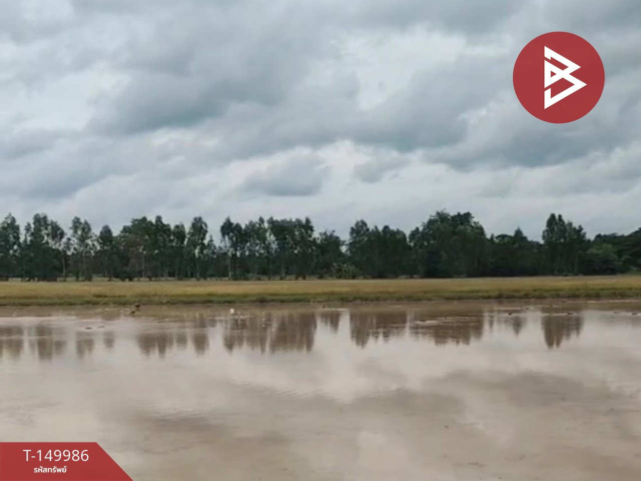 Land for sale, area 25 rai 2 ngan 93 sq m, Banphot Phisai, Nakhon Sawan. – รูปที่ 4