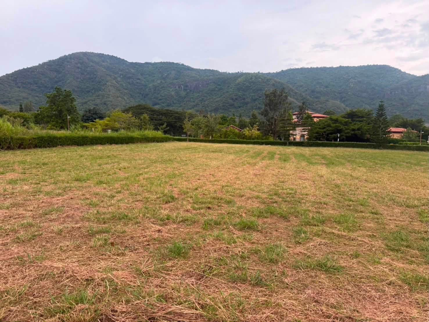 ที่ดินในโครงการ Toscana valley – รูปที่ 2