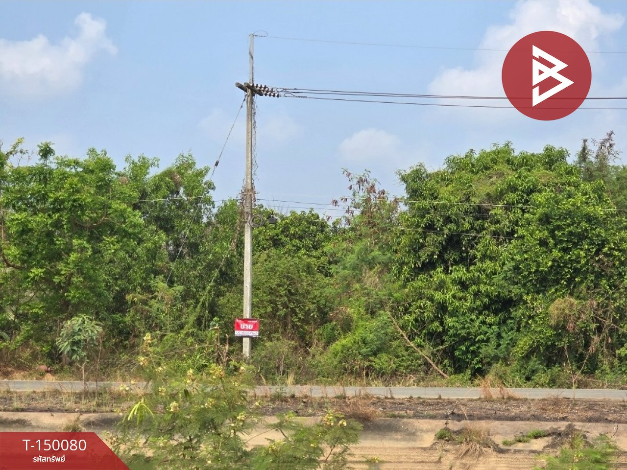 Land for sale, area 3 ngan 41 sq m, long plot, Chachoengsao.