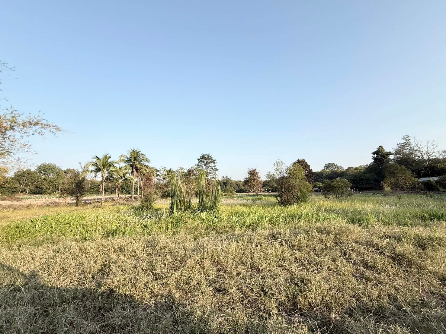 Empty land for sale, 34 rai, next to a public road on 1 side, Nikhom Songkhro location, Udon Thani Province. Empty land for sale, 34 rai, next to a public road on 1 side, Nikhom Songkhro location, Udon Thani Province.