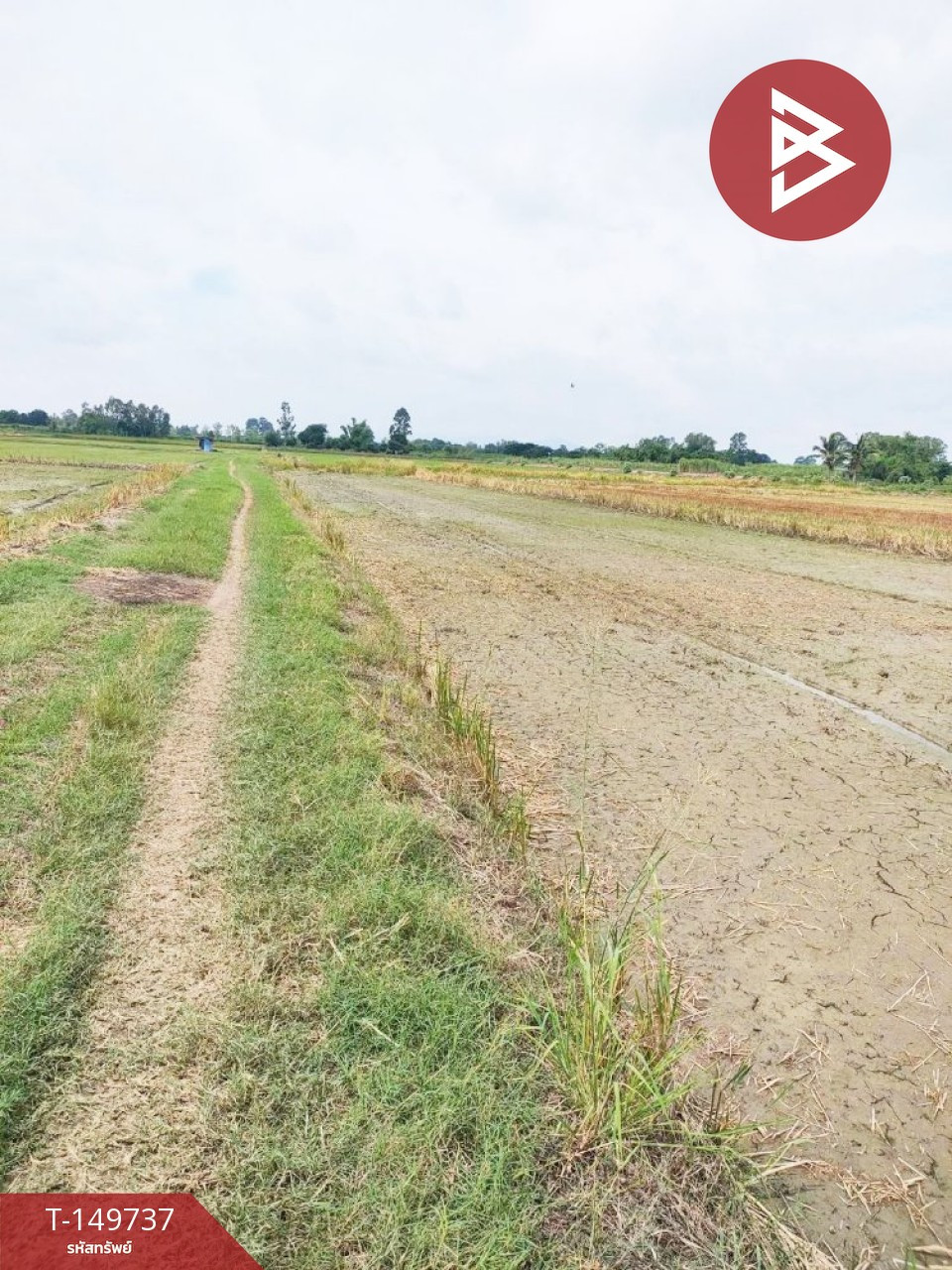 ขายที่ดิน เนื้อที่ 2 ไร่ 3 งาน 74 ตร.วา เก้าเลี้ยว นครสวรรค์ – รูปที่ 2