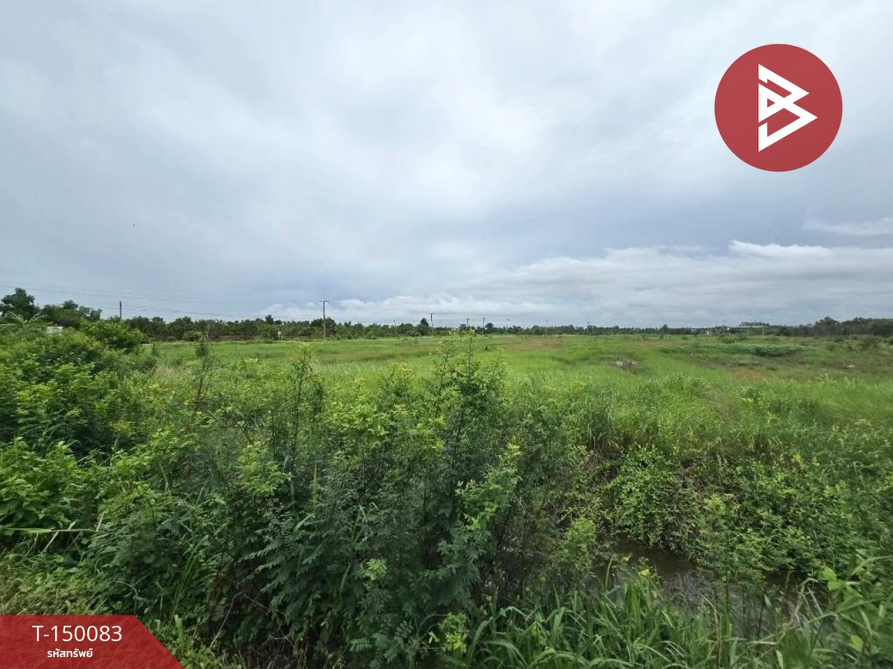 Land for sale, area 24 rai 2 ngan 79 sq m, Bang Kla, Chachoengsao. – รูปที่ 2