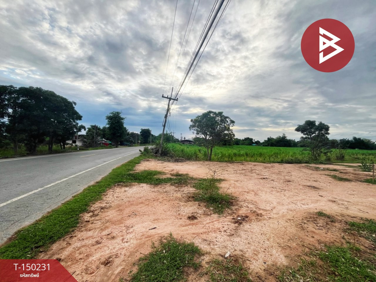 ขายที่ดิน เนื้อที่ 6 ไร่ 2 งาน 31 ตร.วา เดิมบางนางบวช สุพรรณบุรี – รูปที่ 3