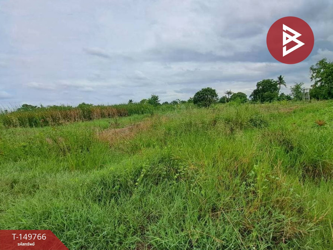 Land for sale, area 19 rai 2 ngan 87 sq m, Kham Thao, Nakhon Phanom – รูปที่ 2
