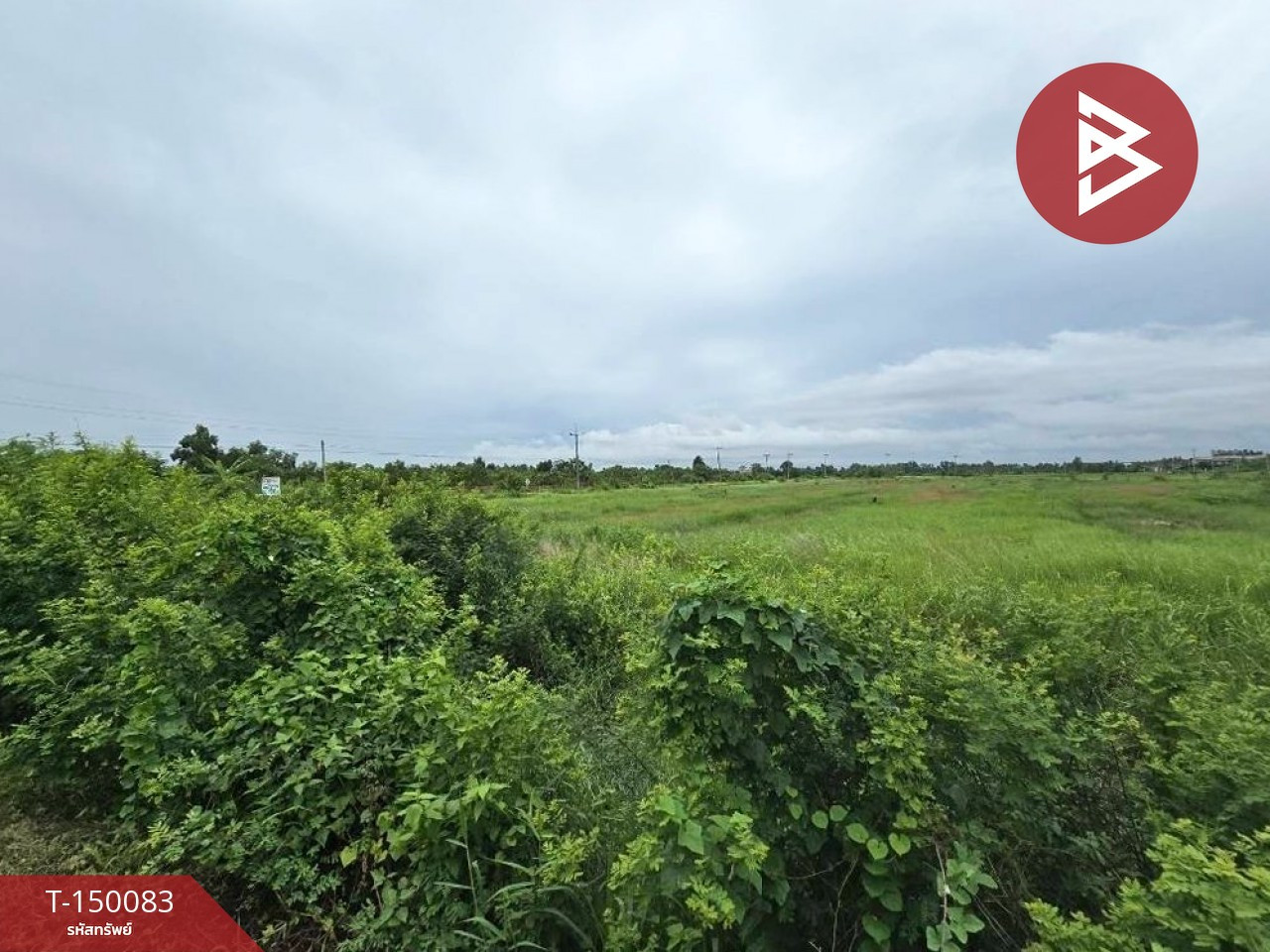 Land for sale, area 24 rai 2 ngan 79 sq m, Bang Kla, Chachoengsao.