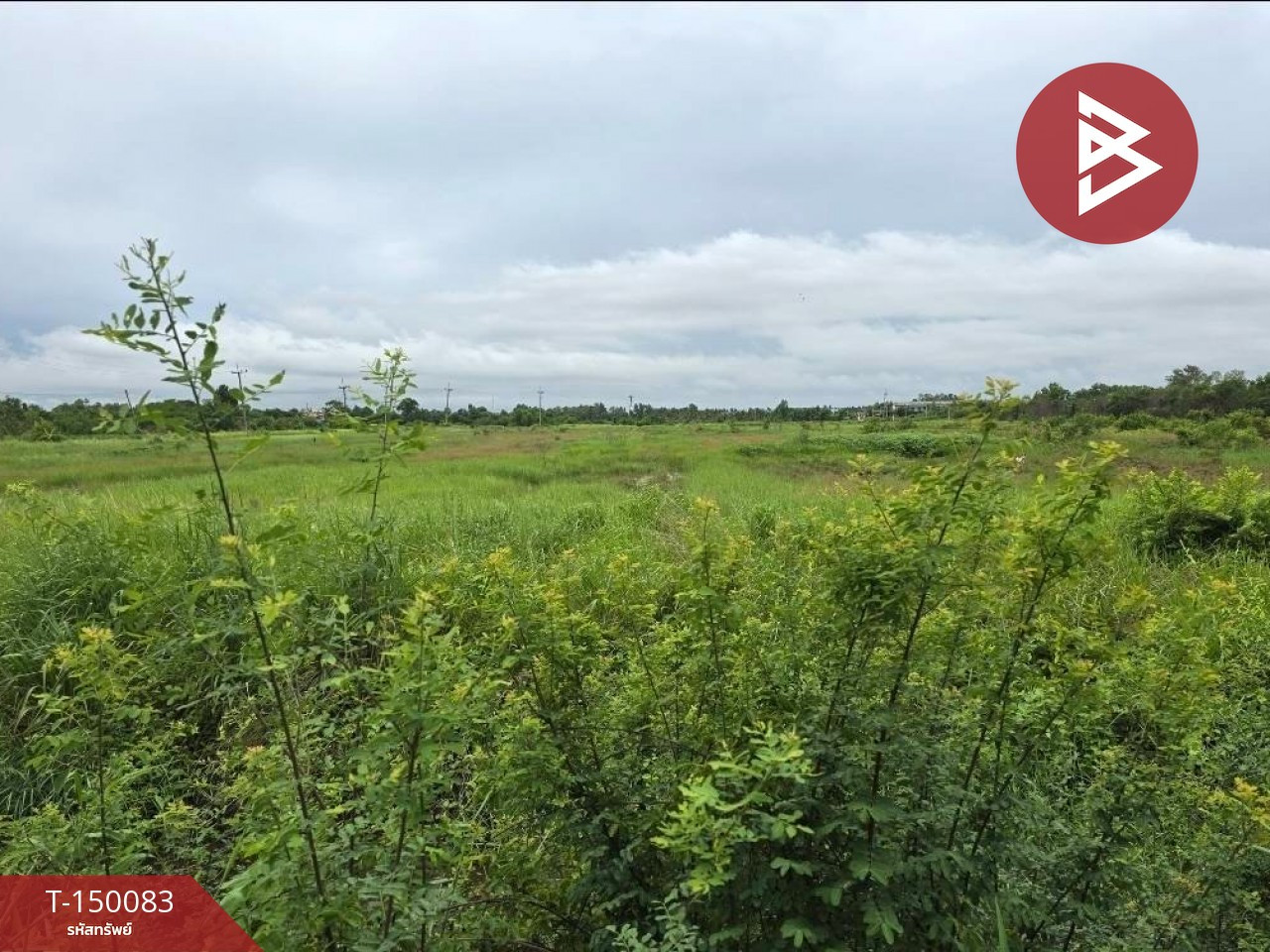 Land for sale, area 24 rai 2 ngan 79 sq m, Bang Kla, Chachoengsao. – รูปที่ 3
