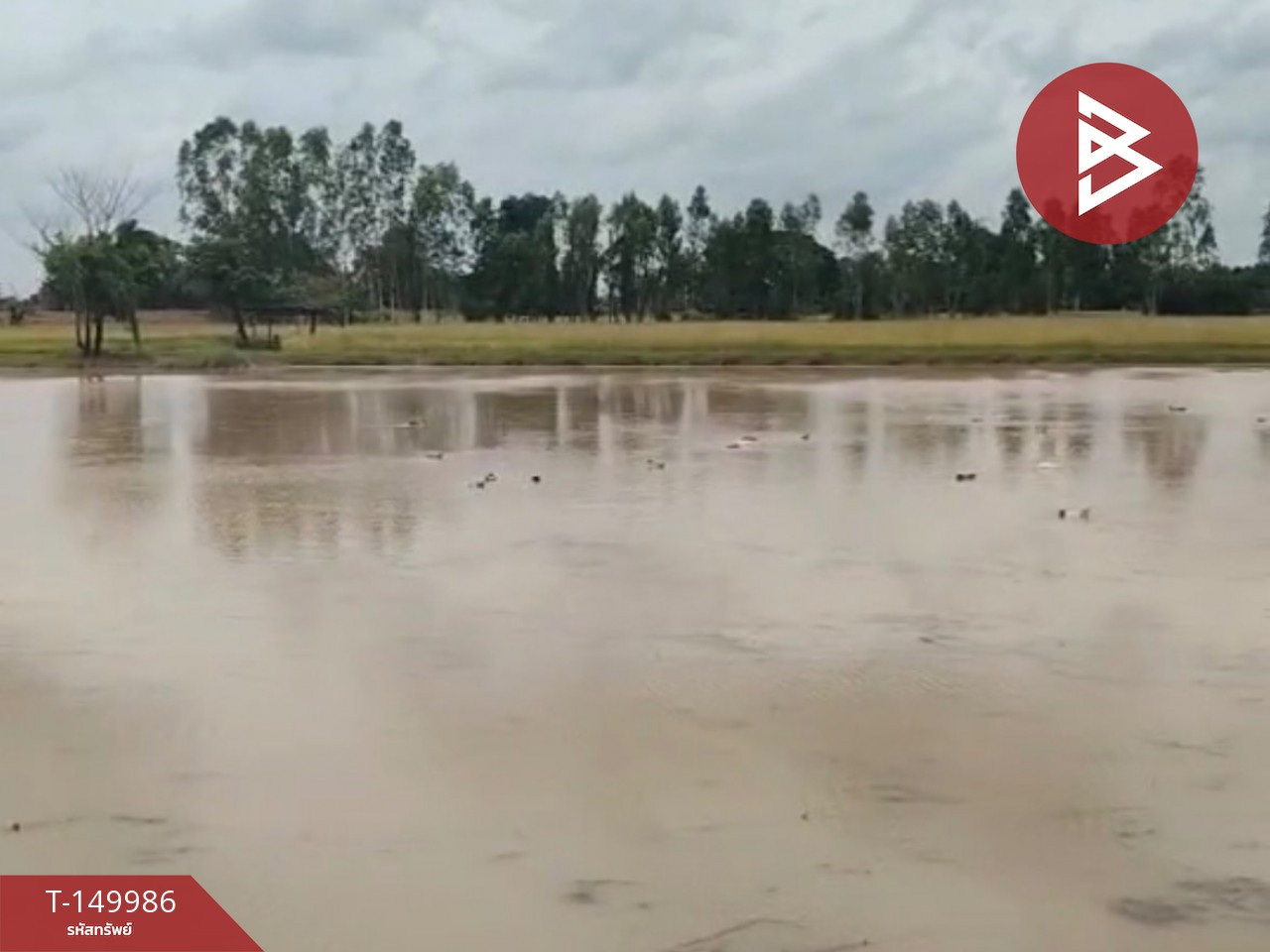 Land for sale, area 25 rai 2 ngan 93 sq m, Banphot Phisai, Nakhon Sawan. – รูปที่ 3
