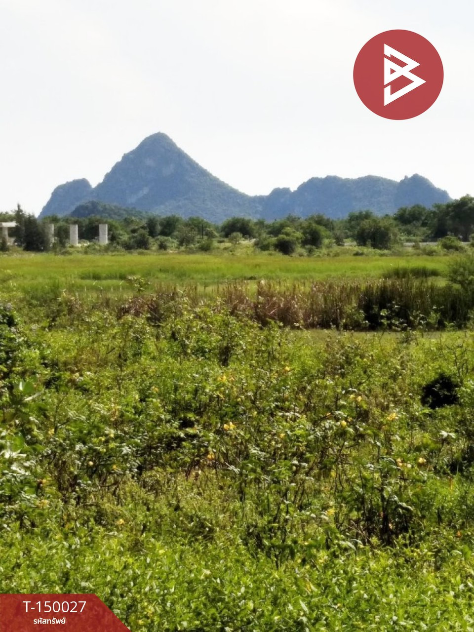ขายที่ดิน เนื้อที่ 50.5 ตร.วา เกาะหลัก เมืองประจวบคีรีขันธ์ – รูปที่ 2