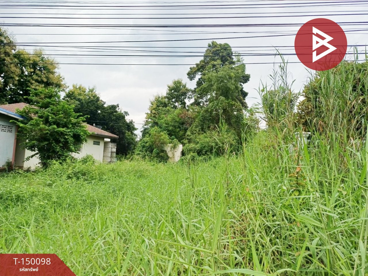 Land for sale, area 1 rai 35 sq m, Pa Makhap, Phichit – รูปที่ 4