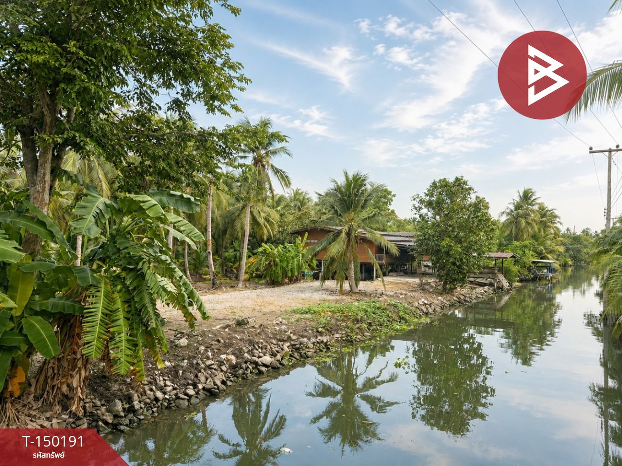 ขายบ้านเดี่ยวพร้อมที่ดิน เนื้อที่ 5 ไร่ 1 งาน 60 ตร.วา บางคนที สมุทรสงคราม – รูปที่ 4