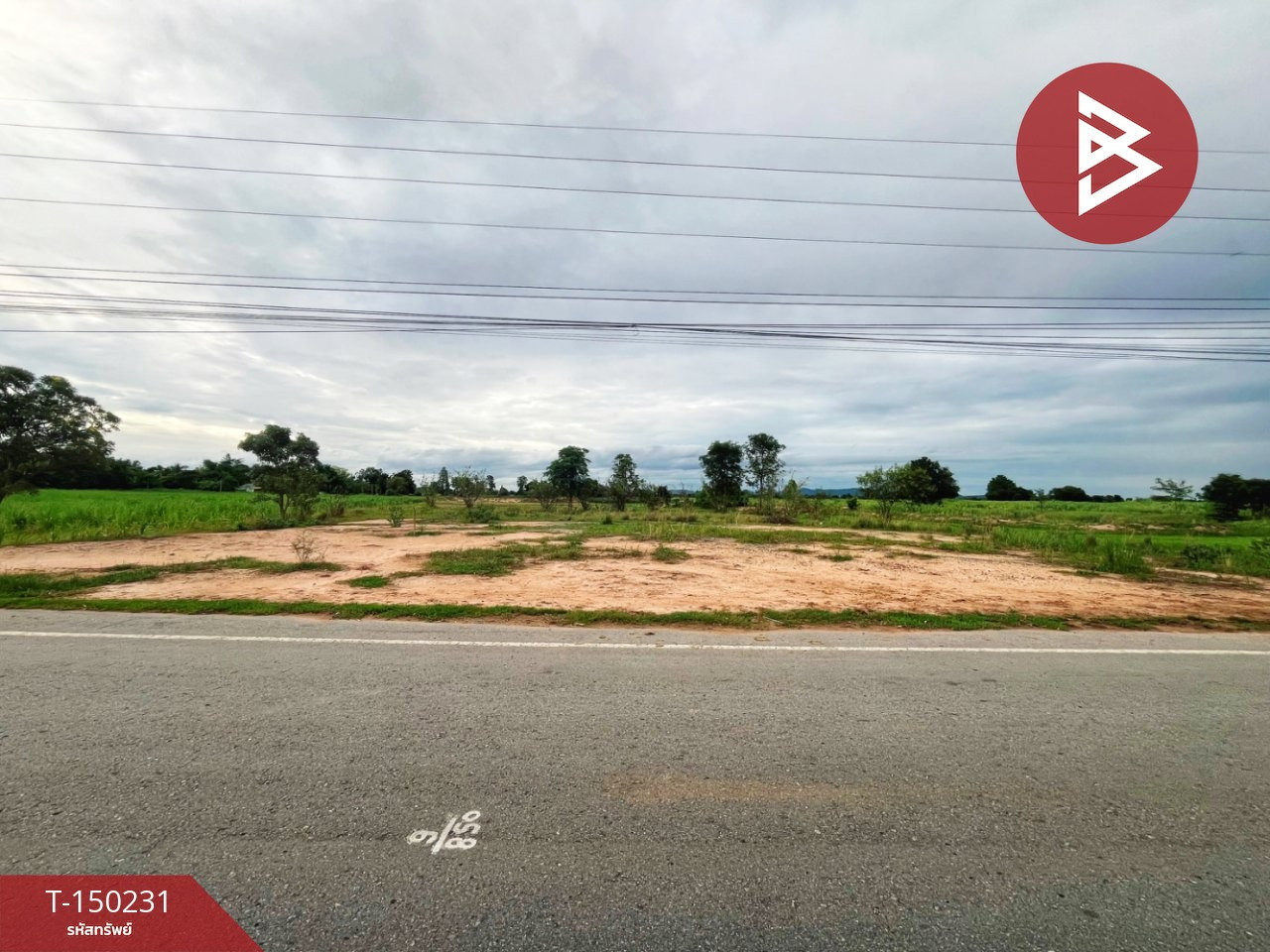 ขายที่ดิน เนื้อที่ 6 ไร่ 2 งาน 31 ตร.วา เดิมบางนางบวช สุพรรณบุรี – รูปที่ 4