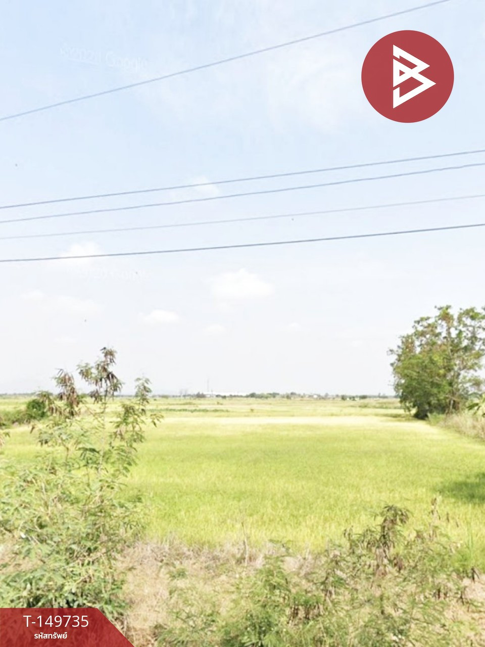 ขายที่ดิน เนื้อที่ 46 ไร่ 1 งาน 81 ตร.วา นครสวรรค์ตก นครสวรรค์ – รูปที่ 2