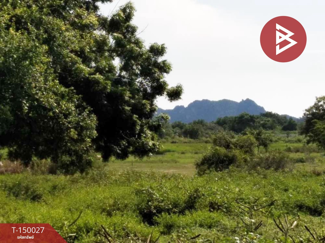 ขายที่ดิน เนื้อที่ 50.5 ตร.วา เกาะหลัก เมืองประจวบคีรีขันธ์ – รูปที่ 4