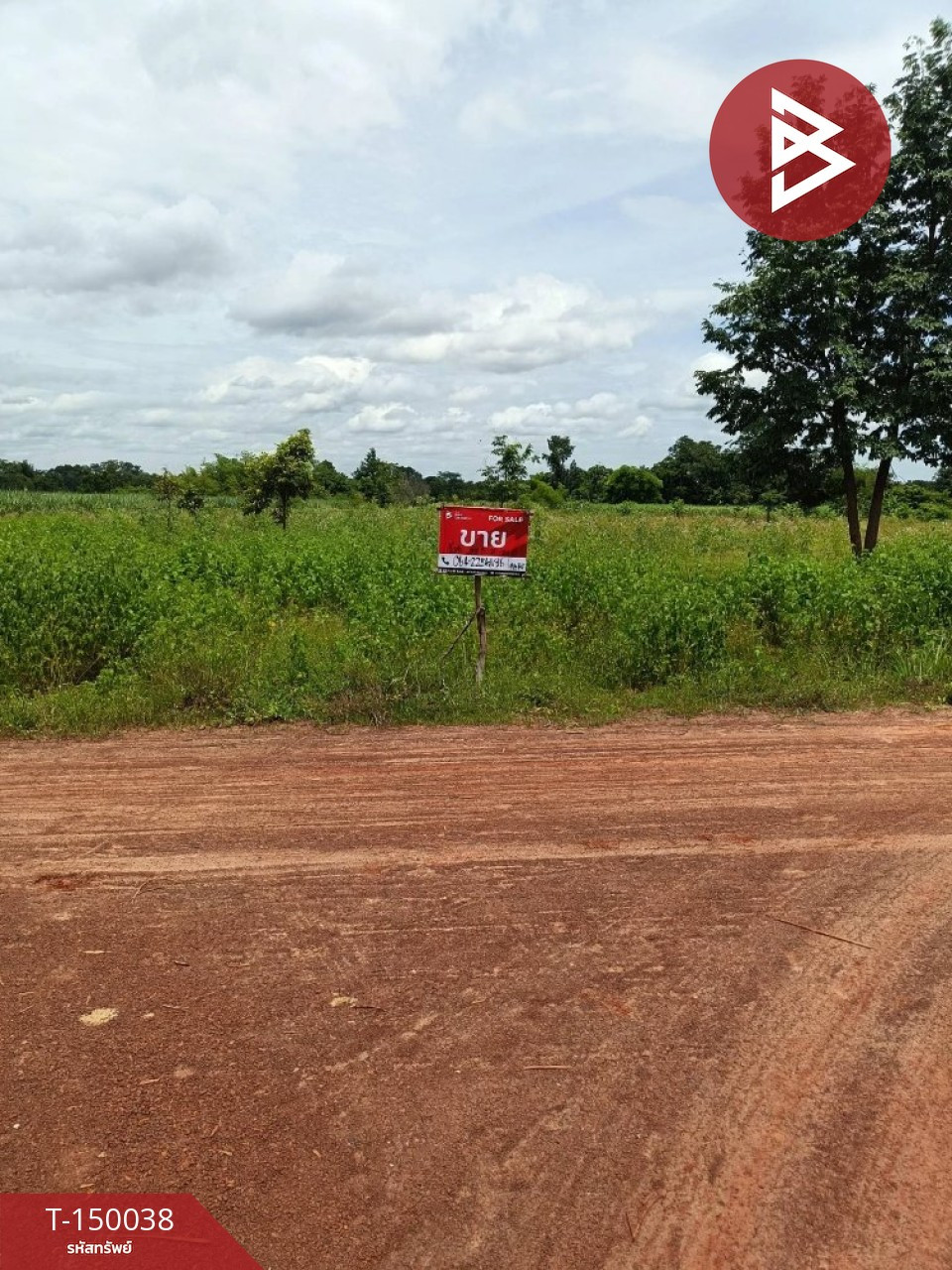 ขายที่ดิน เนื้อที่ 20 ไร่ 1 งาน 12 ตร.วา บ้านผือ อุดรธานี – รูปที่ 4