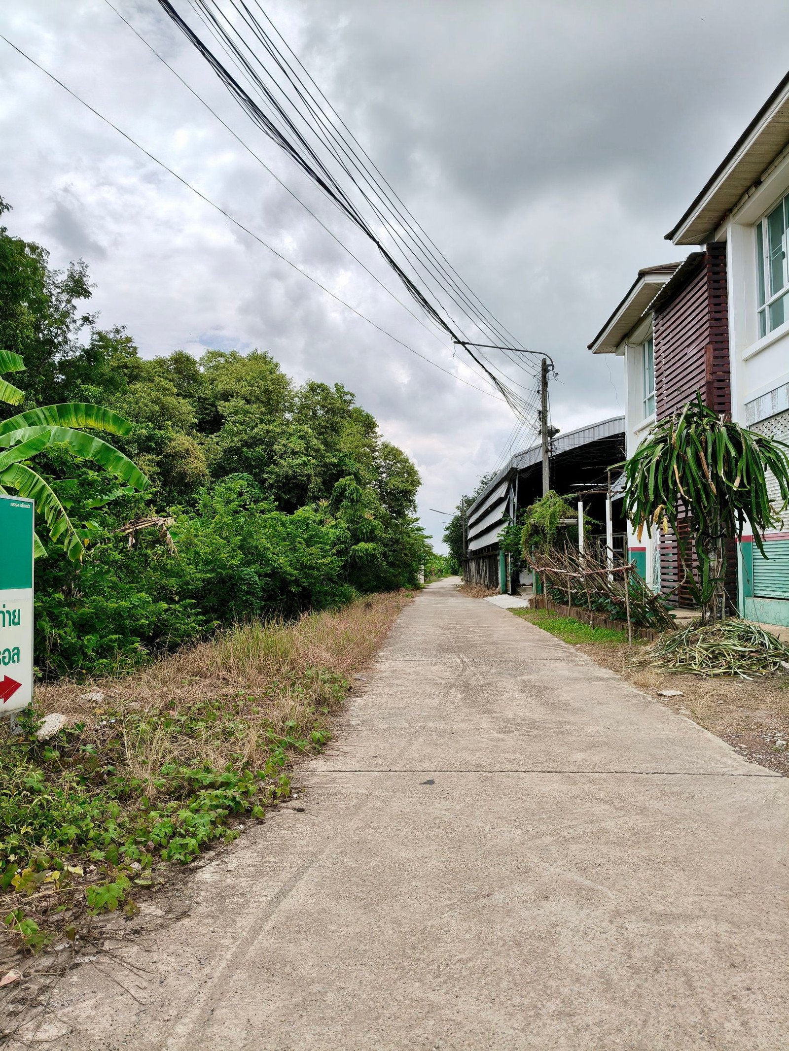 ที่ดินทำเลศักยภาพติดถนน เส้นบึงพระ ใกล้สนามบินพิษณุโลก – รูปที่ 4