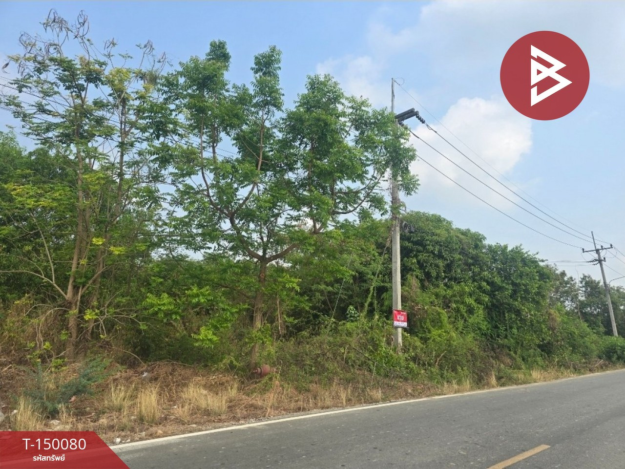 Land for sale, area 3 ngan 41 sq m, long plot, Chachoengsao. – รูปที่ 3