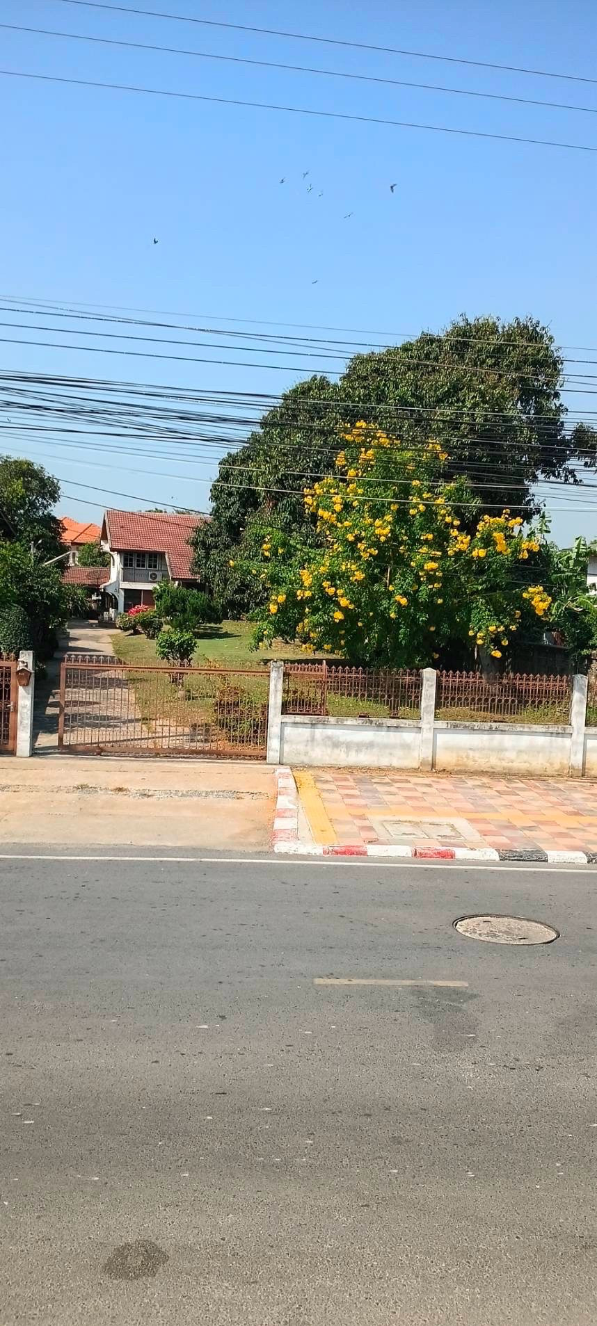Land for sale 588 square wah (with 2 houses) along the Chao Phraya River, Mueang District, Sing Buri Province, city side, very beautiful, very hard to find. – รูปที่ 2