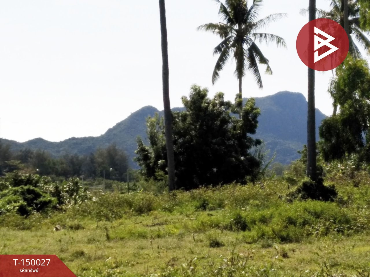 ขายที่ดิน เนื้อที่ 50.5 ตร.วา เกาะหลัก เมืองประจวบคีรีขันธ์ – รูปที่ 3