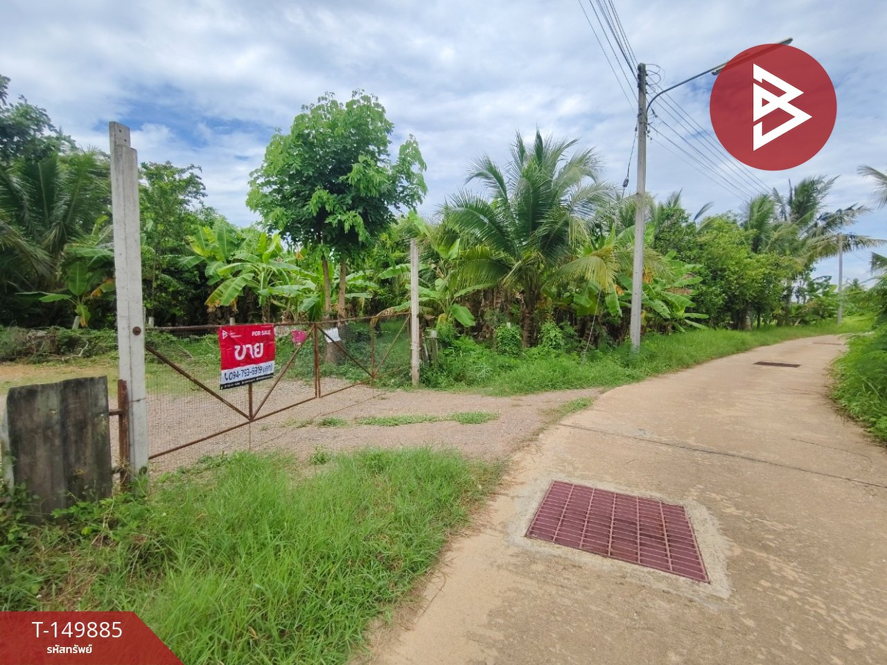 ขายที่ดินพร้อมสิ่งปลูกสร้าง เนื้อที่ 6 ไร่ 3 งาน 16 ตร.วา บ้านโป่ง ราชบุรี – รูปที่ 3