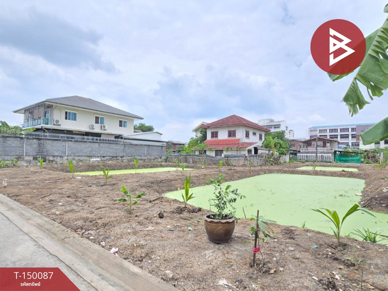 ขายที่ดิน เนื้อที่ 2 งาน 91 ตร.วา พระโขนง กรุงเทพมหานคร – รูปที่ 2