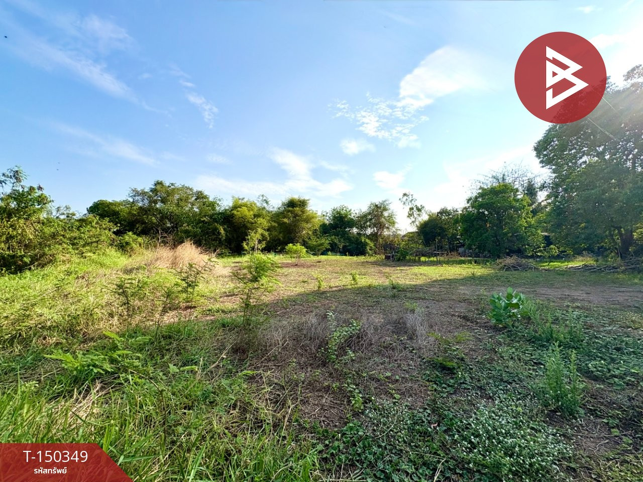 ขายที่ดิน เนื้อที่ 3 งาน 64.4 ตร.วา ตาคลี นครสวรรค์  – รูปที่ 4