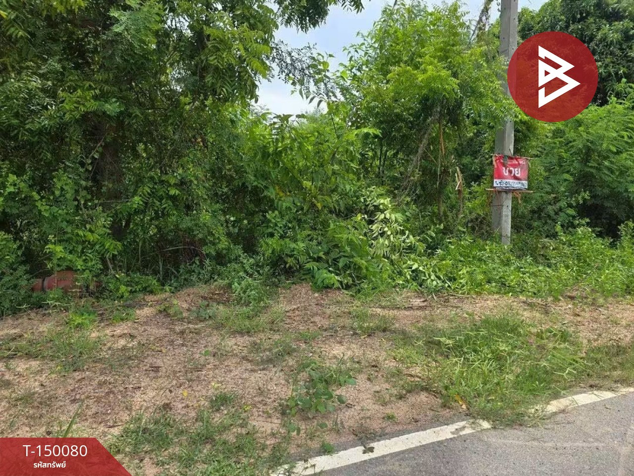 Land for sale, area 3 ngan 41 sq m, long plot, Chachoengsao. – รูปที่ 2