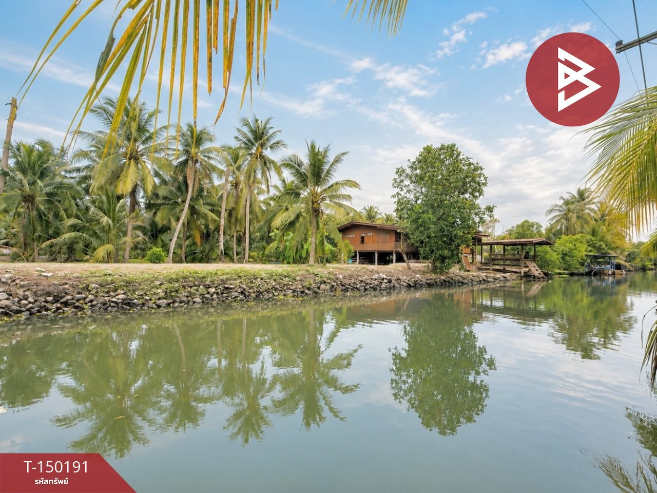 ขายบ้านเดี่ยวพร้อมที่ดิน เนื้อที่ 5 ไร่ 1 งาน 60 ตร.วา บางคนที สมุทรสงคราม – รูปที่ 3
