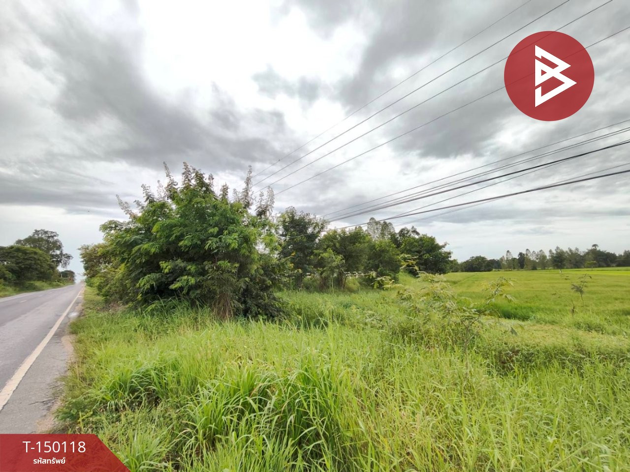 ขายที่ดิน เนื้อที่ 4 ไร่ 2 งาน 7.3 ตร.วา โกรกพระ นครสวรรค์ – รูปที่ 3