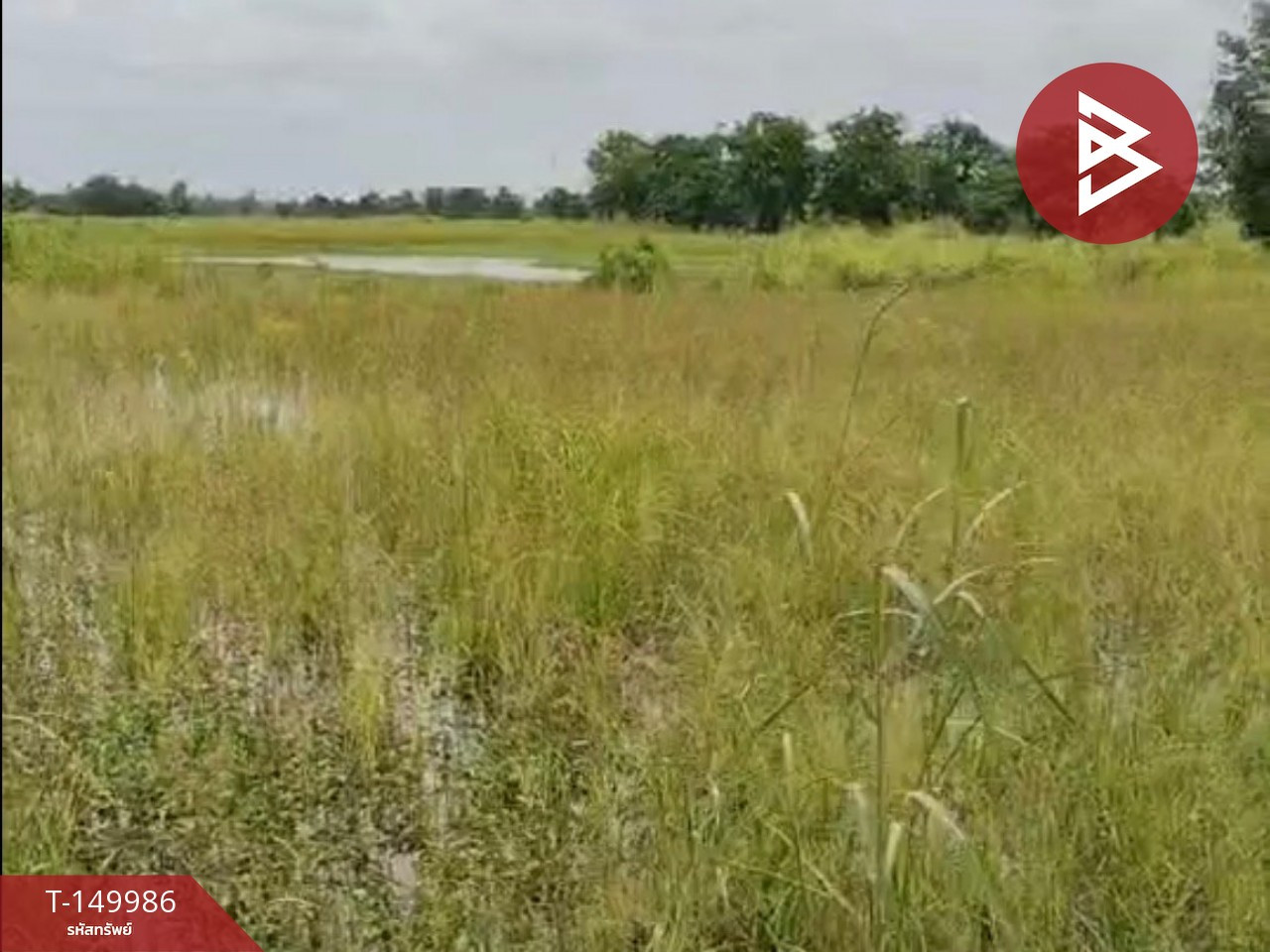 Land for sale, area 25 rai 2 ngan 93 sq m, Banphot Phisai, Nakhon Sawan. – รูปที่ 2