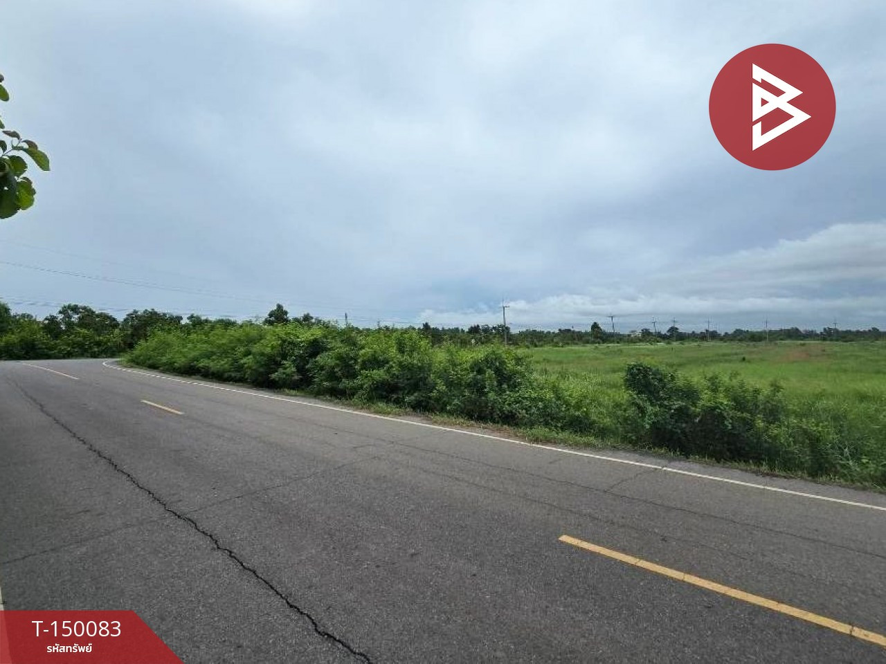 Land for sale, area 24 rai 2 ngan 79 sq m, Bang Kla, Chachoengsao. – รูปที่ 4