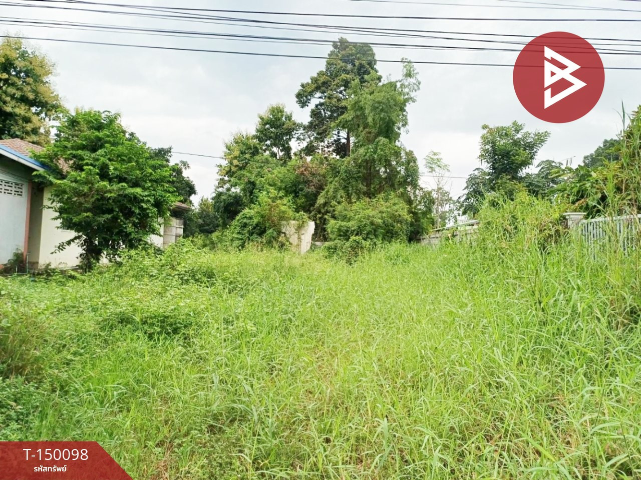 Land for sale, area 1 rai 35 sq m, Pa Makhap, Phichit Land for sale, area 1 rai 35 sq m, Pa Makhap, Phichit