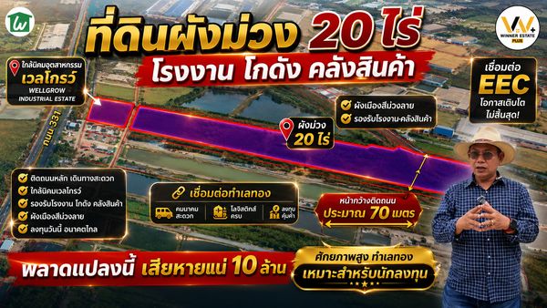 🔥🔥#ขายที่ดินผังสีม่วง 20 ไร่ 🔥สำหรับโรงงาน โกดัง คลังสินค้า เชื่อมต่อ EEC