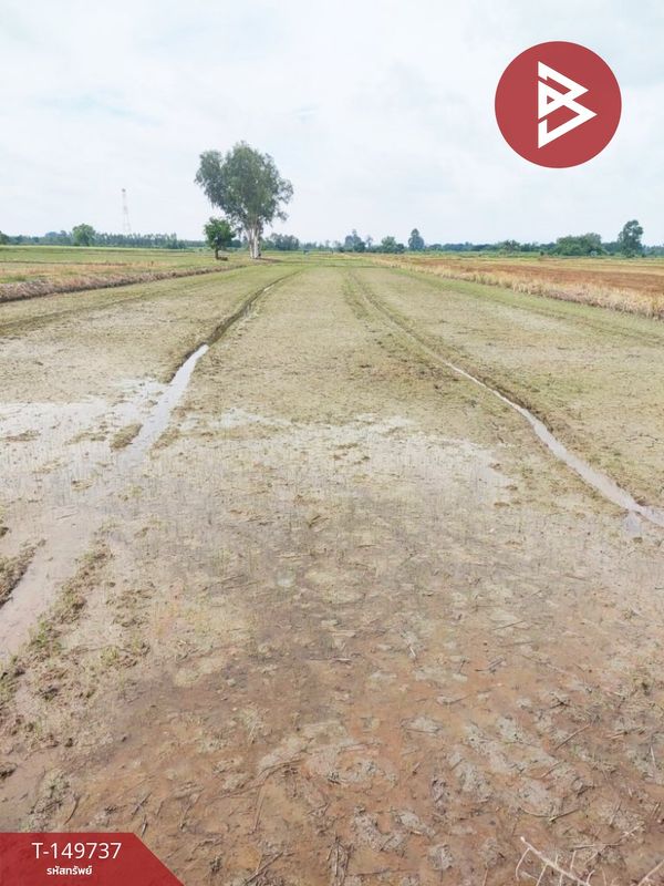 Land for sale, area 2 rai 3 ngan 74 sq m, Kao Liao, Nakhon Sawan