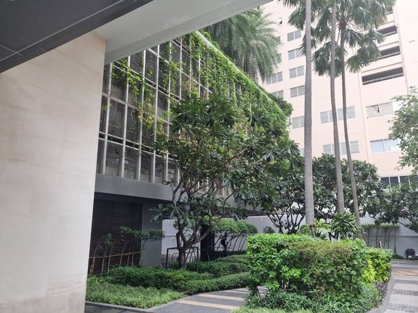 98372 - Rare Green View in Asoke | The Room Sukhumvit 21 คอนโดใจกลางเมือง ที่ให้บรรยากาศสงบและเป็นส่วนตัว…ราวกับอยู่บ้านเดี่ยว