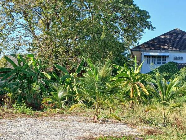 ที่ดิน เฉลิมพระเกียรติร.9 ซอย 7 / 148 ตร.วา (ขาย), Land in honor of King Rama IX, Soi 7. / 148 Square Wa (FOR SALE) POON313