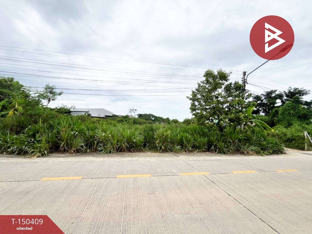 3 plots of land for sale, area 342.5 square meters, Chorakhe Subdistrict, Mueang Nakhon Pathom, beautiful location. 3 plots of land for sale, area 342.5 square meters, Chorakhe Subdistrict, Mueang Nakhon Pathom, beautiful location.