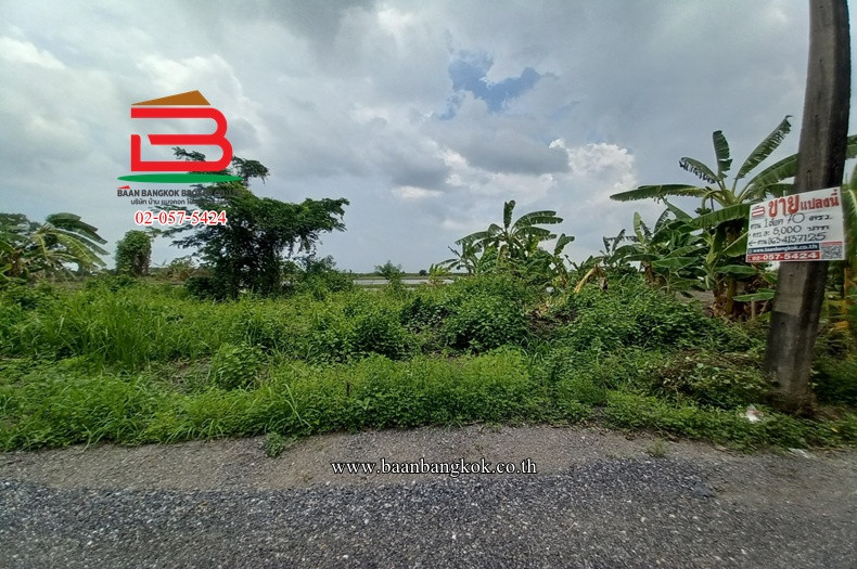 Land has been filled in, Soi Wat Rat Bamrungsak, area 70 sq m., Ongrak-Bang Nam Priao Road. Don Ko Ka Subdistrict Bang Nam Priao District Chachoengsao Province – รูปที่ 2